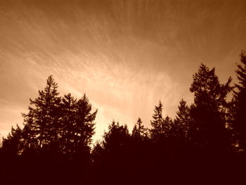 Silhouette of trees against sky at sunset
