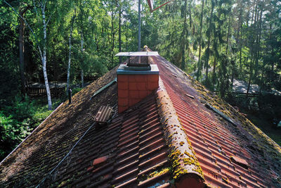 Low angle view of old building in forest