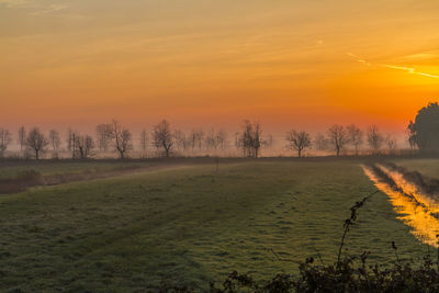 Scenic view of field against orange sky