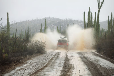 Car splashing water on wet dirt road amidst cactus on field against sky during foggy weather