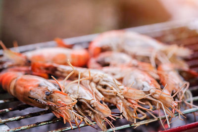 Close-up of seafood on grill
