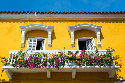 Low angle view of yellow house