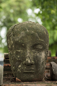 Close-up of buddha statue