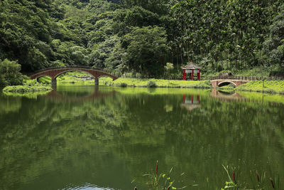 Arch bridge over river against trees