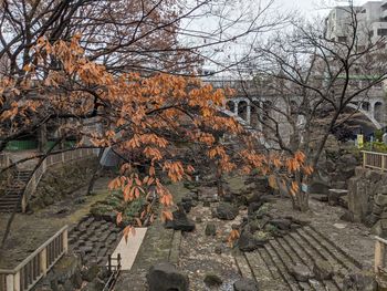 High angle view of trees by building during autumn