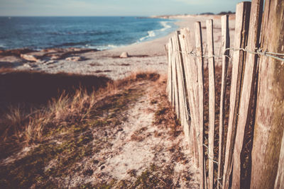 Close-up of wood on beach