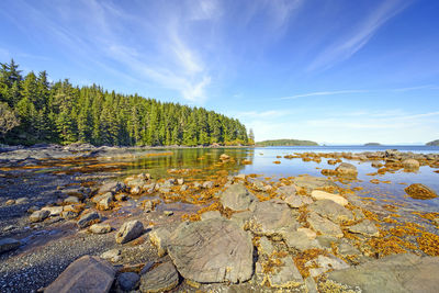 Storey's beach along the tex lyon trail on vancouver island