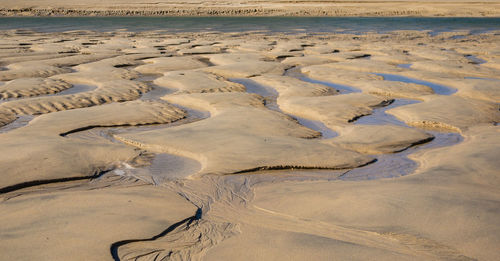 High angle view of footprints on beach