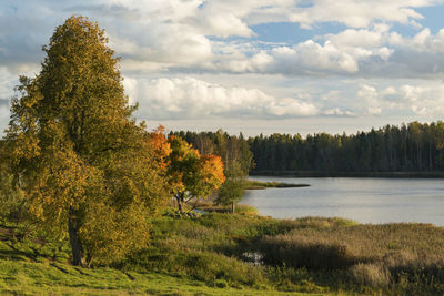 Scenic view of lake against sky