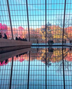 Reflection of trees on glass window