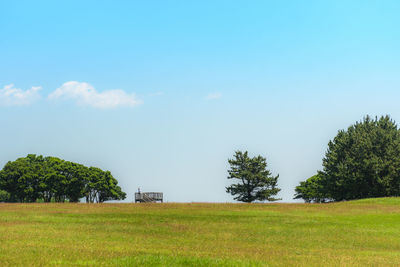 Scenic view of agricultural field against sky