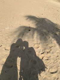 Shadow of people on sand at beach