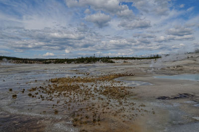 Scenic view of beach against sky