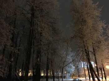 Low angle view of bare trees against sky at night