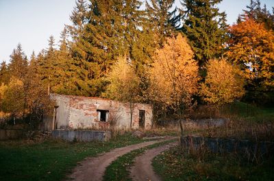 Road amidst trees and buildings against sky during autumn