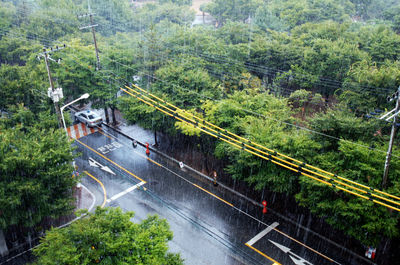 High angle view of road amidst trees in forest