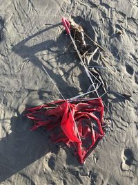 High angle view of red umbrella on beach