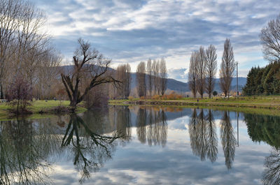 Reflection of trees in lake