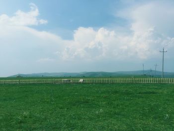 Scenic view of field against sky