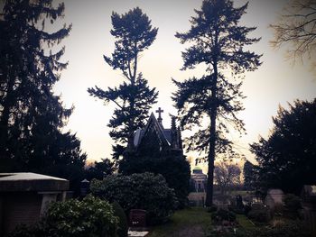 Trees in cemetery against sky