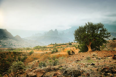 Scenic view of landscape against sky