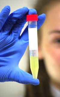 Cropped image of female scientist holding chemical in test tube