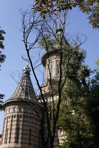 Low angle view of tree and building against sky