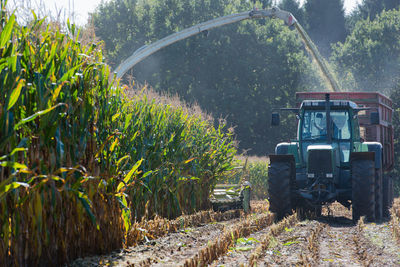 Combine harvester harvesting in farm