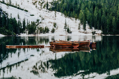Scenic view of lake in forest