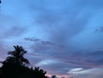 Low angle view of silhouette trees against sky