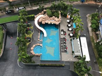 High angle view of potted plants on table in city