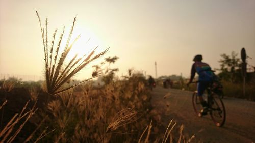 Man with bicycle on field against sky during sunset