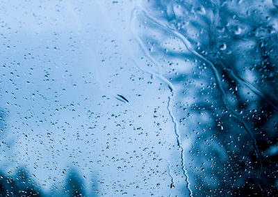 Trees seen through wet glass