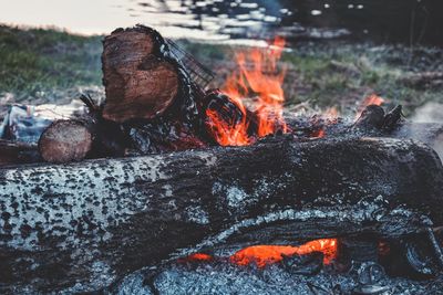 Close-up of fire on wood