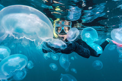 A woman in a black wetsuit is in the water with jellyfish. the jellyfish are floating around her