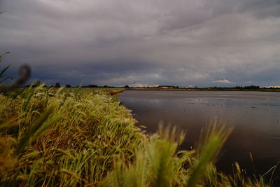 Scenic view of land against sky