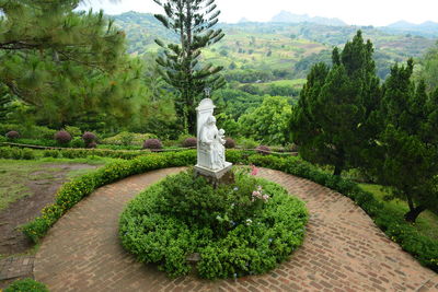 Statue amidst plants in garden