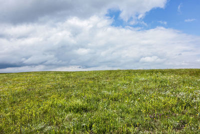 Scenic view of field against sky