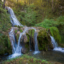 Scenic view of waterfall in forest