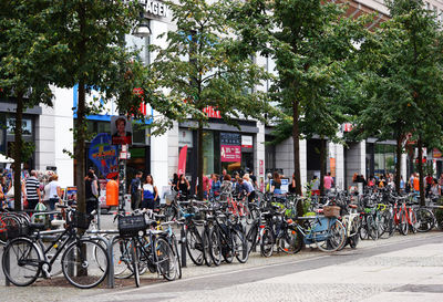 Bicycles parked against trees in city