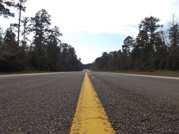 Surface level of empty road along trees