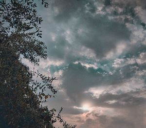 Low angle view of silhouette tree against sky