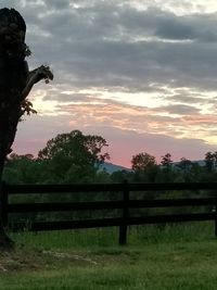 Scenic view of field against sky during sunset
