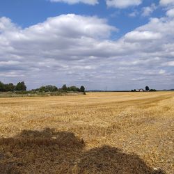 Scenic view of field against sky