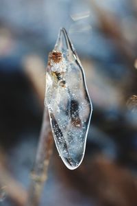 Close-up of ice crystals