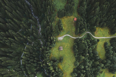 High angle view of road amidst trees in forest