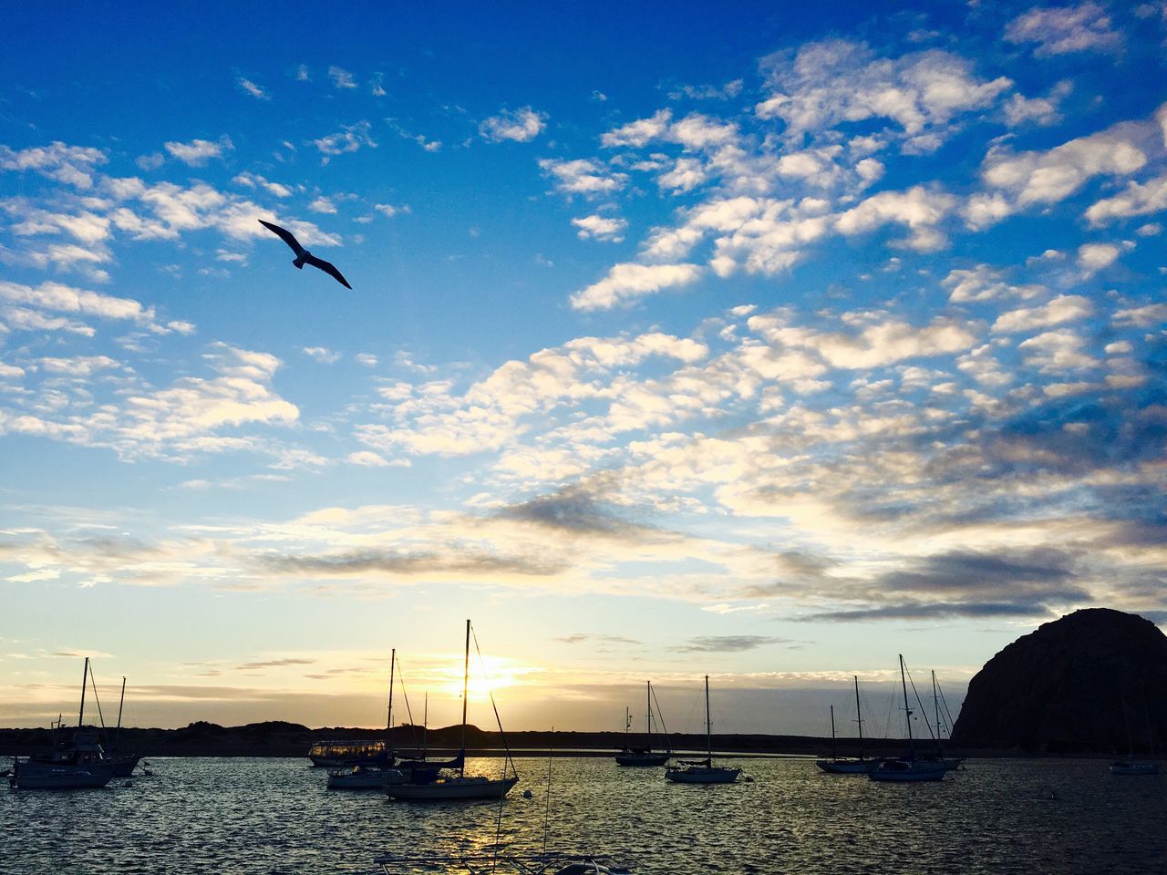 flying, sea, transportation, sky, water, bird, mode of transport, nautical vessel, animal themes, cloud - sky, wildlife, mid-air, animals in the wild, scenics, boat, nature, beauty in nature, cloud, spread wings, waterfront