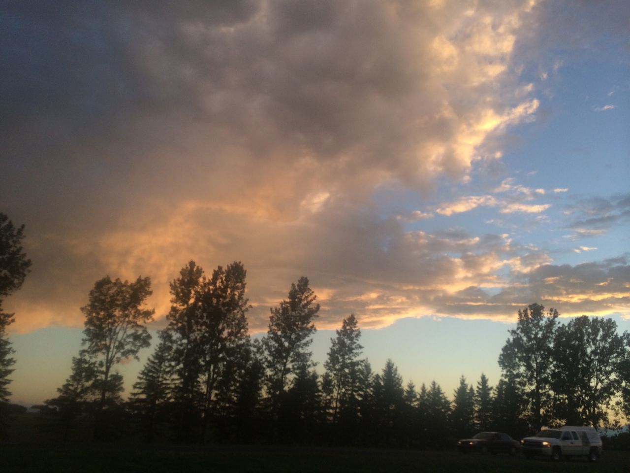 tree, sky, sunset, cloud - sky, tranquility, silhouette, tranquil scene, scenics, beauty in nature, nature, cloudy, landscape, cloud, growth, idyllic, outdoors, field, orange color, no people, non-urban scene