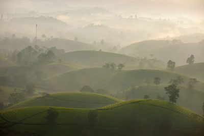 Scenic view of field against mountains