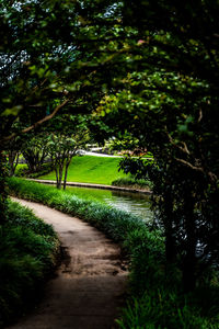 Footpath in park